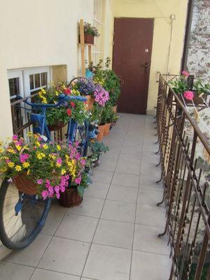Miodowa Apartment คราคูฟ ภายนอก รูปภาพ